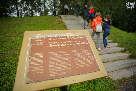 D31A6224.JPG