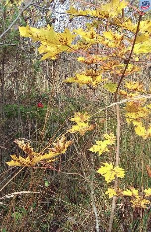 20171007_134251.jpg