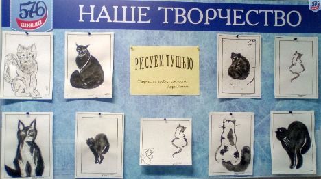 коты общее