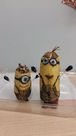 20160922_082053.jpg