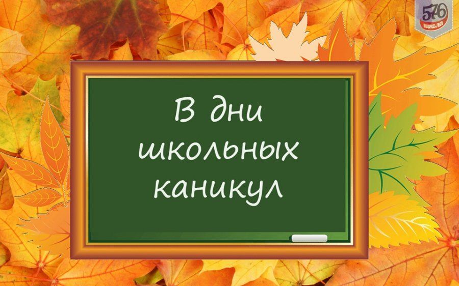 В ДНИ ШКОЛЬНЫХ КАНИКУЛ