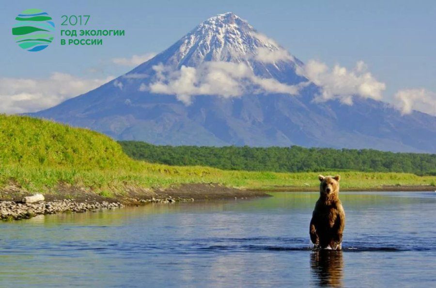 2017 – ВСЕРОССИЙСКИЙ ГОД ЭКОЛОГИИ 