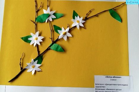 20170427_124050-2.jpg