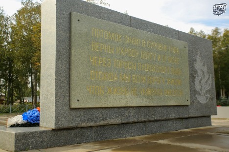 D31A6101.JPG
