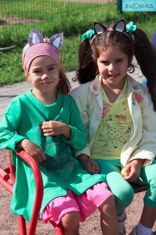 IMG_6337.jpg