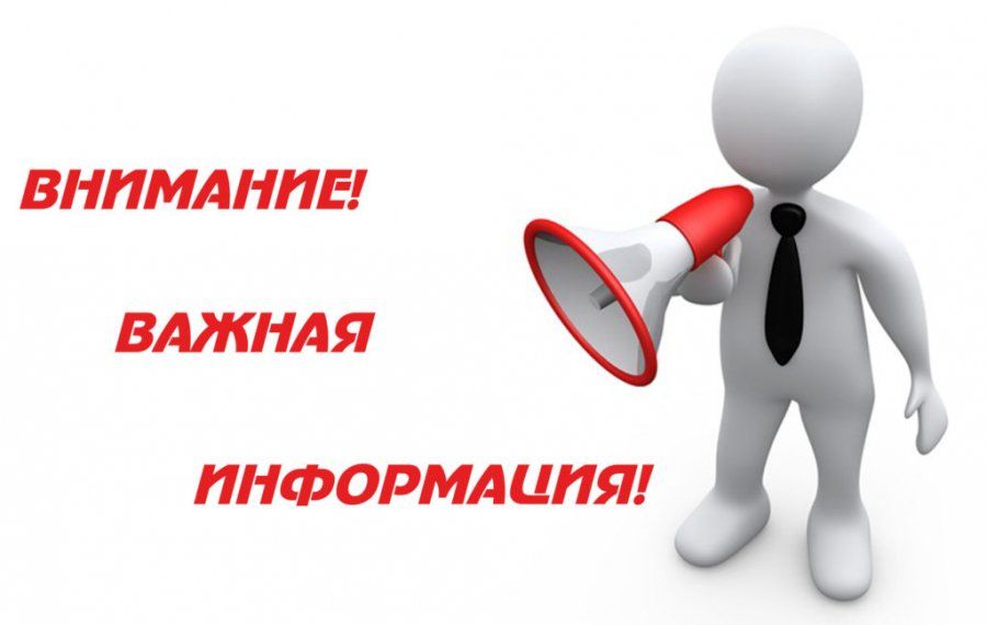 КАНИКУЛЫ