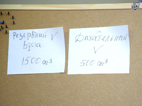 D31A8600.JPG