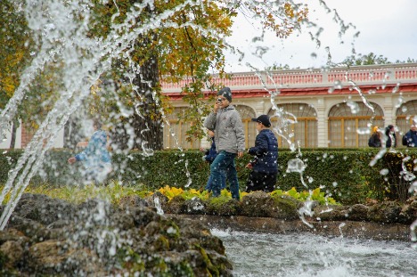 D31A1425.JPG